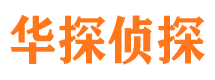 两当侦探公司